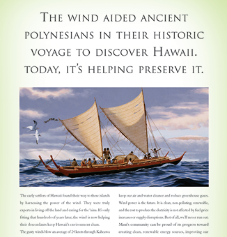 Kaheawa Wind Farm Campaign